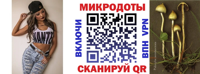 Псилоцибиновые грибы Psilocybe  Хасавюрт 